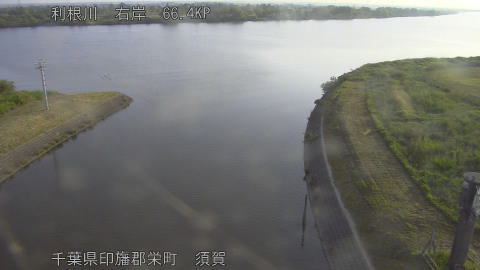tonsu2026051906_image