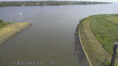 tonsu2026051908_image