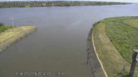 tonsu2026051909_image