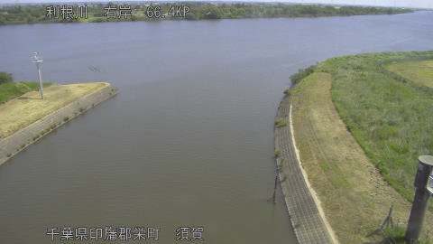 tonsu2026051910_image