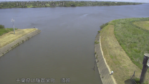 tonsu2026051911_image