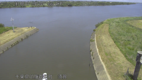 tonsu2026051912_image