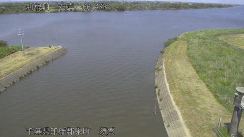 tonsu2026051913_image