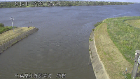tonsu2026051915_image