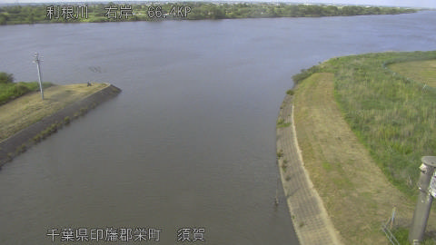 tonsu2026051916_image