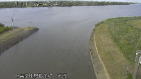tonsu2026051917_image