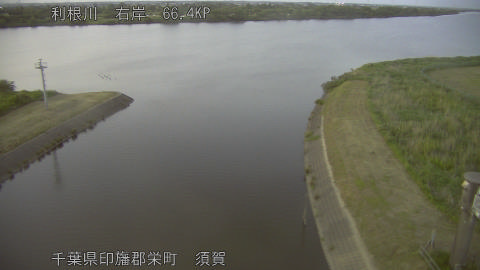 tonsu2026051919_image
