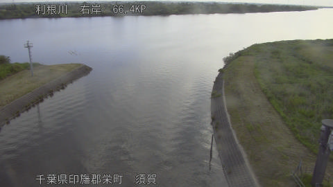 tonsu2026052006_image