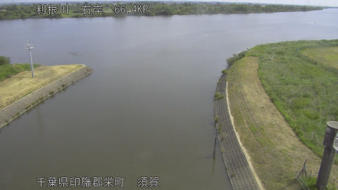 tonsu2026052009_image