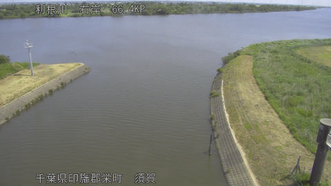 tonsu2026052010_image