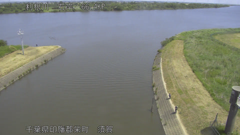 tonsu2026052011_image