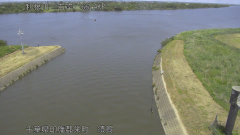 tonsu2026052012_image