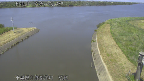 tonsu2026052013_image