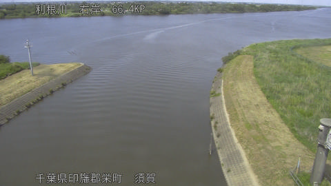 tonsu2026052014_image