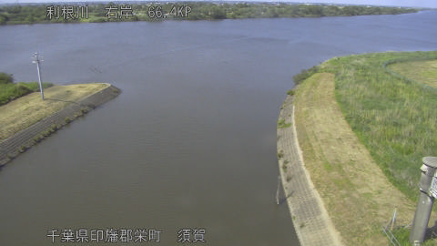 tonsu2026052015_image
