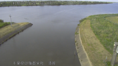 tonsu2026052016_image
