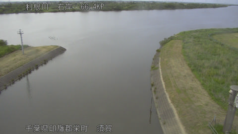 tonsu2026052018_image