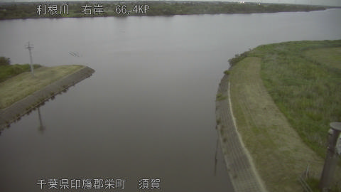 tonsu2026052019_image