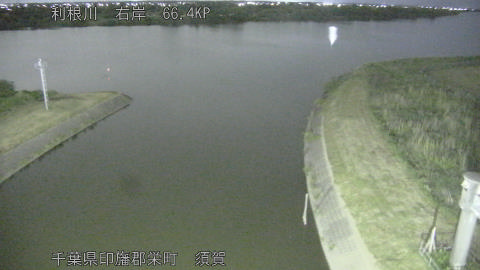 tonsu2026052022_image