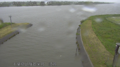 tonsu2026052111_image