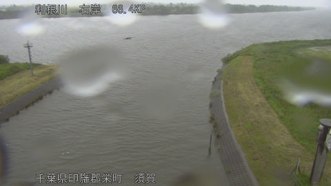 tonsu2026052112_image
