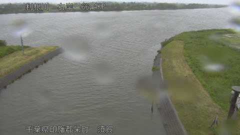 tonsu2026052114_image