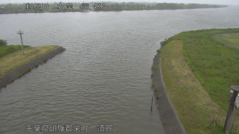 tonsu2026052115_image