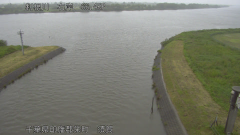 tonsu2026052116_image
