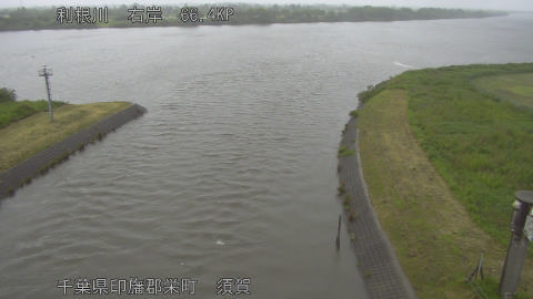 tonsu2026052117_image