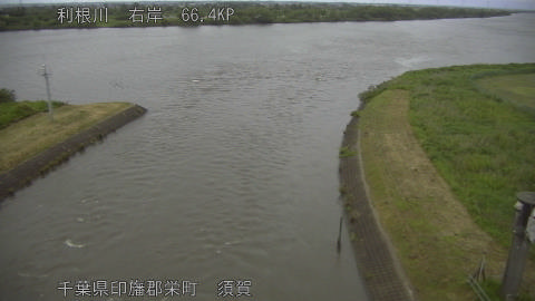 tonsu2026052119_image