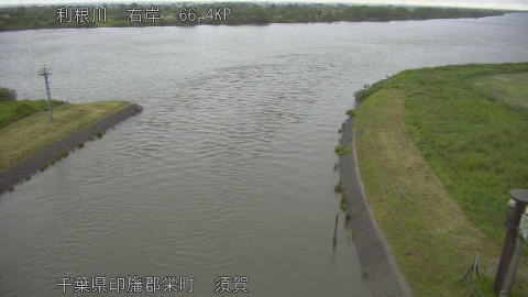 tonsu2026052208_image