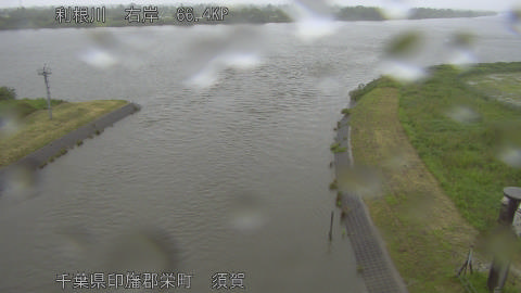 tonsu2026052209_image