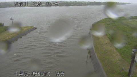 tonsu2026052211_image