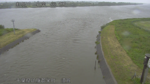 tonsu2026052213_image
