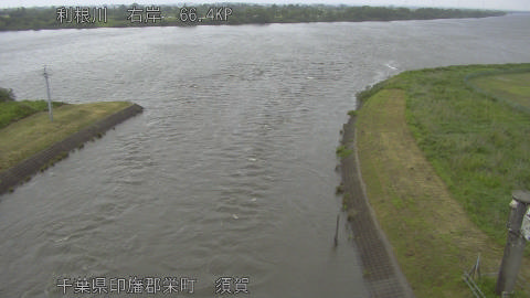 tonsu2026052215_image