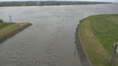 tonsu2026052216_image