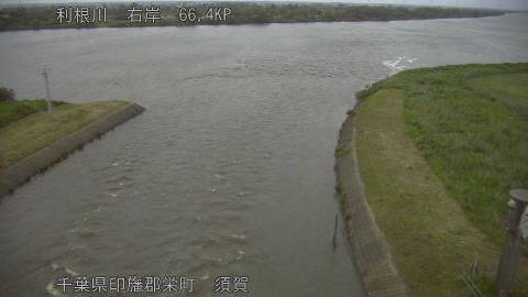 tonsu2026052219_image