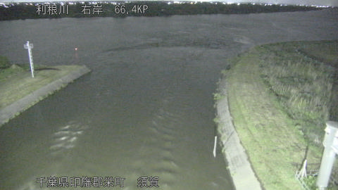 tonsu2026052300_image