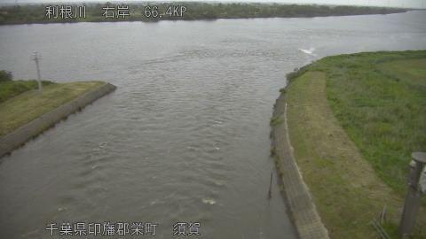 tonsu2026052305_image
