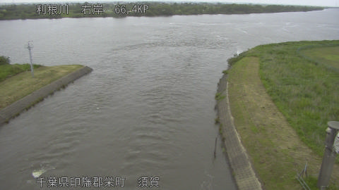 tonsu2026052306_image