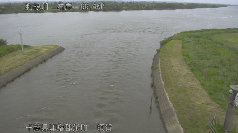 tonsu2026052307_image