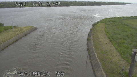 tonsu2026052308_image
