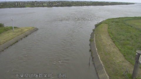tonsu2026052309_image