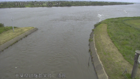 tonsu2026052310_image