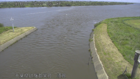 tonsu2026052311_image