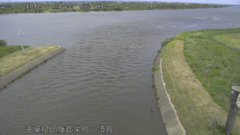 tonsu2026052312_image