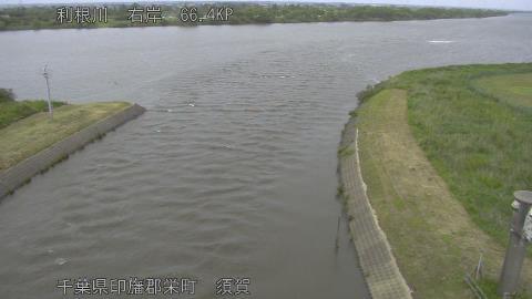 tonsu2026052314_image