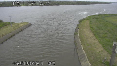 tonsu2026052316_image