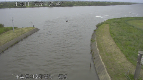 tonsu2026052317_image