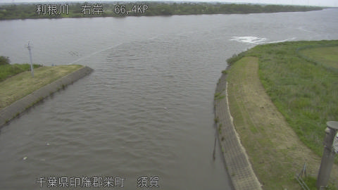 tonsu2026052318_image
